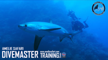 Divemaster training