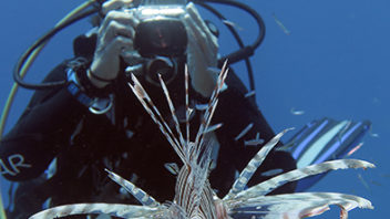 Guiding underwater photographer