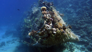 Wreck Dive Specialty
