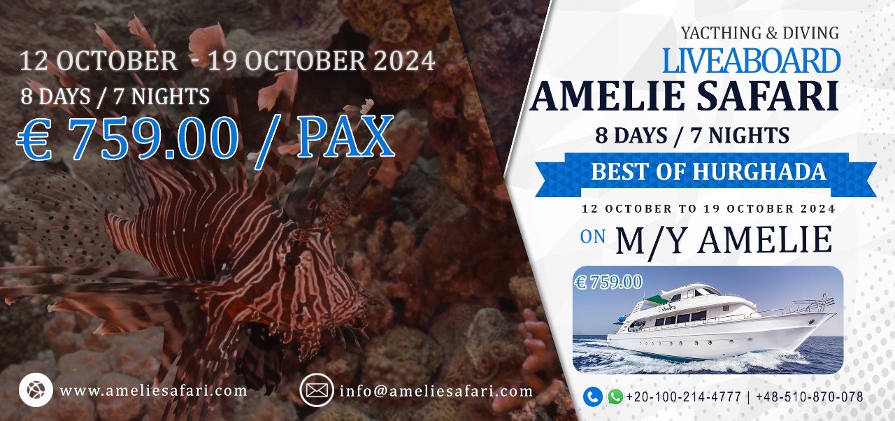 8 Days / 7 Nights On M/Y Amelie